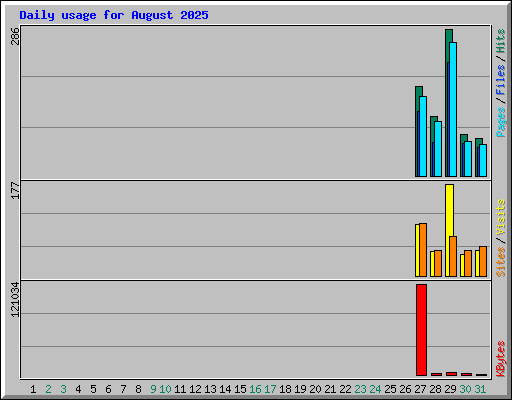 Daily usage for August 2025