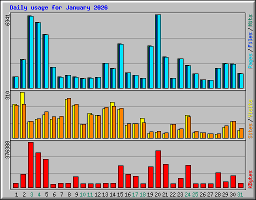Daily usage for January 2026