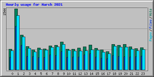 Hourly usage for March 2021