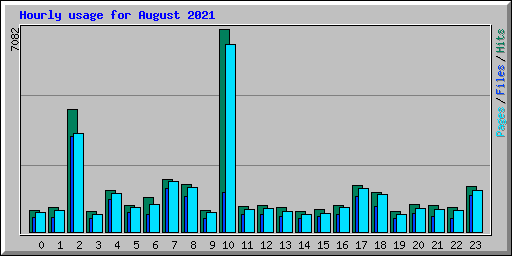 Hourly usage for August 2021