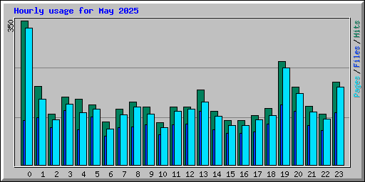 Hourly usage for May 2025