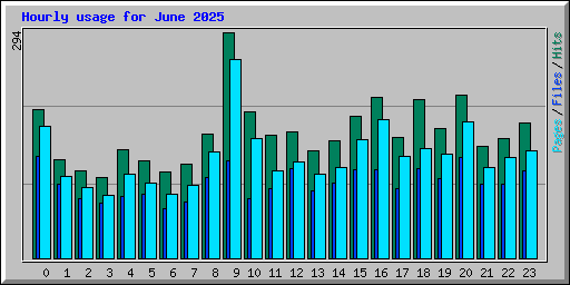 Hourly usage for June 2025