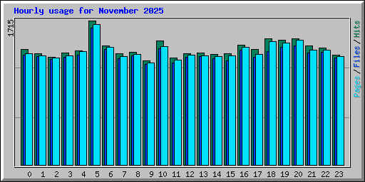 Hourly usage for November 2025