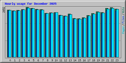 Hourly usage for December 2025