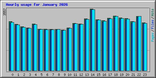 Hourly usage for January 2026